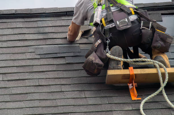 Best Flat Roof Repair Services  in Mancelona, MI