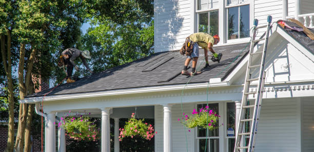 Best Metal Roofing Contractor  in Mancelona, MI