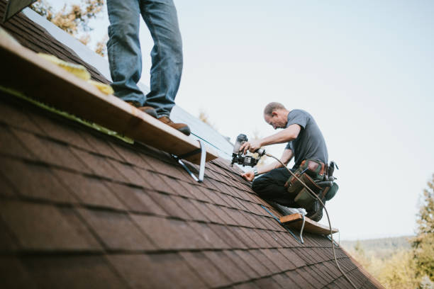 Best New Roof Installation  in Mancelona, MI