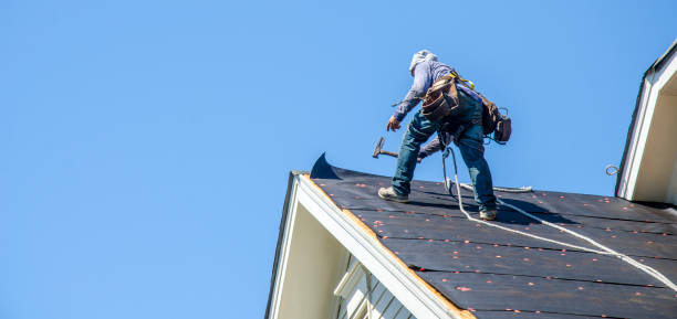 Best Residential Roofing Contractor  in Mancelona, MI